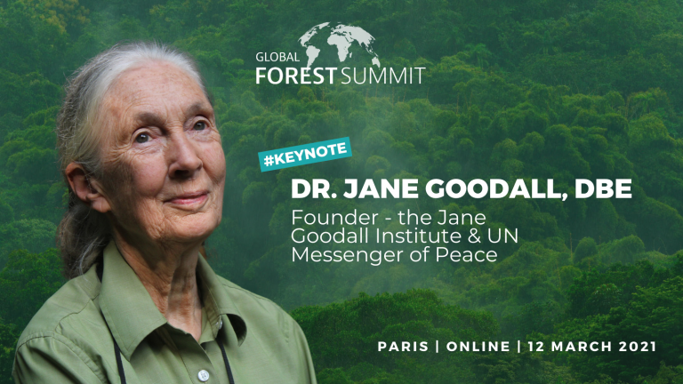 Global Forest Summit